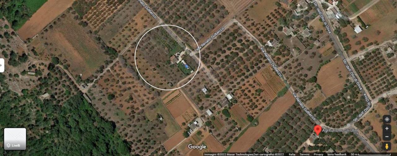 Villa Piana - Con Piscina E Giardino Privato Nel Salento Tricase Buitenkant foto